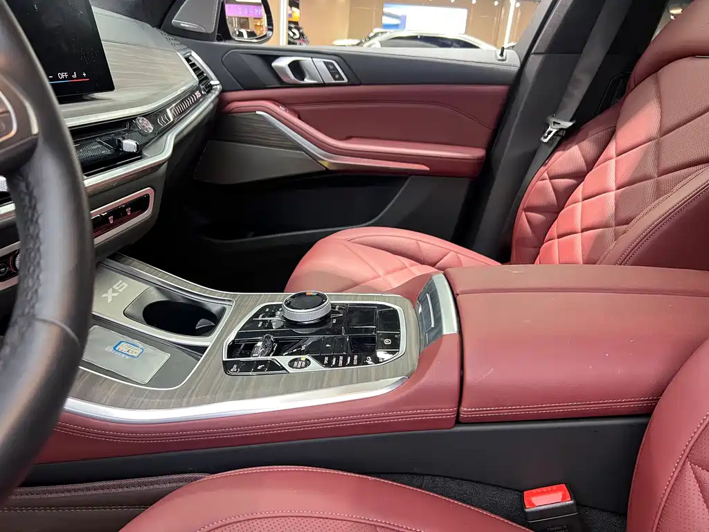 BMW X5 — миниатюра 5