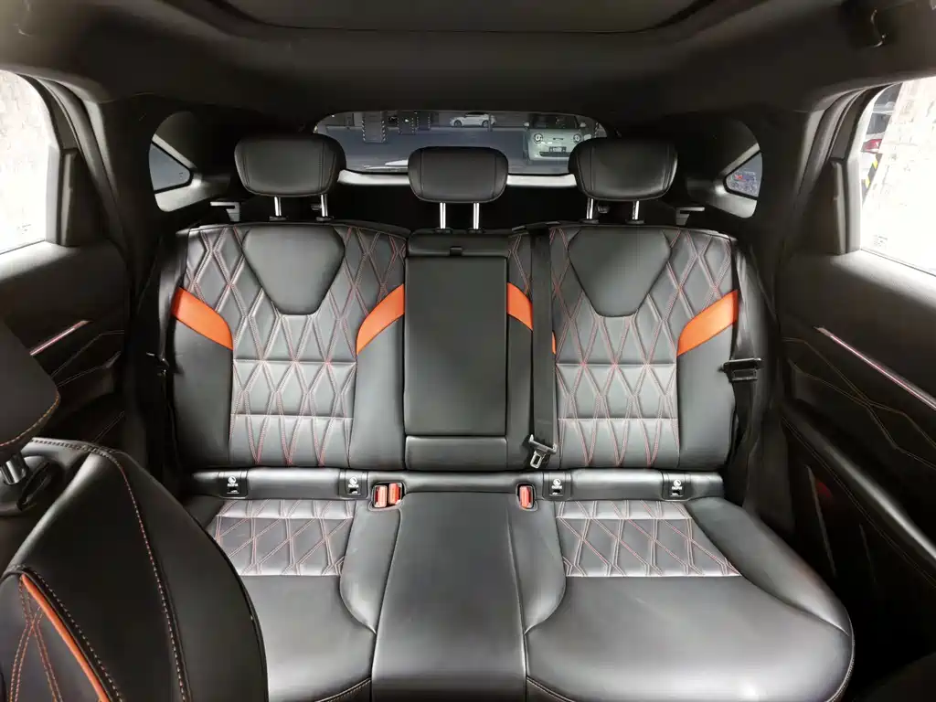 Haval Shenshou — миниатюра 17