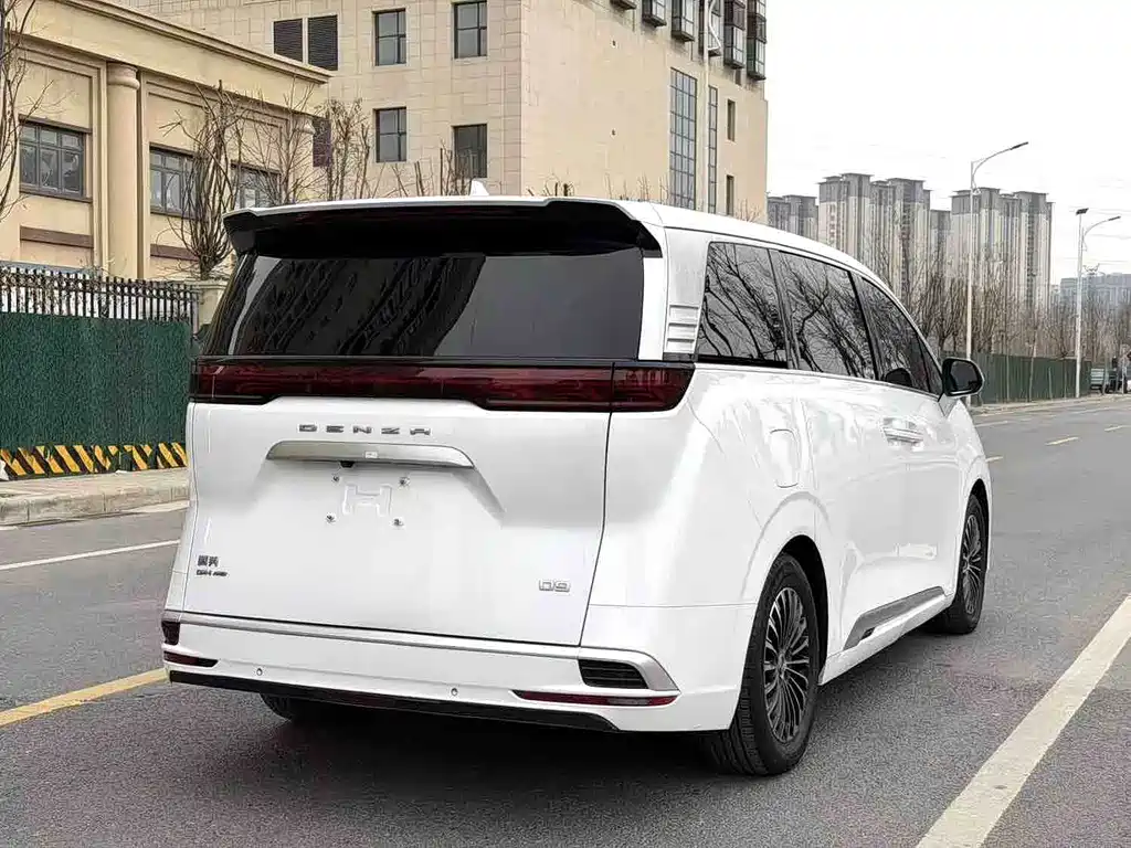 Denza Denza D9 — миниатюра 8