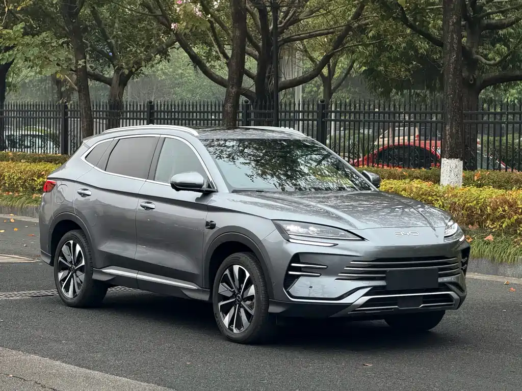 BYD SONGJIANG NEW ENERGY