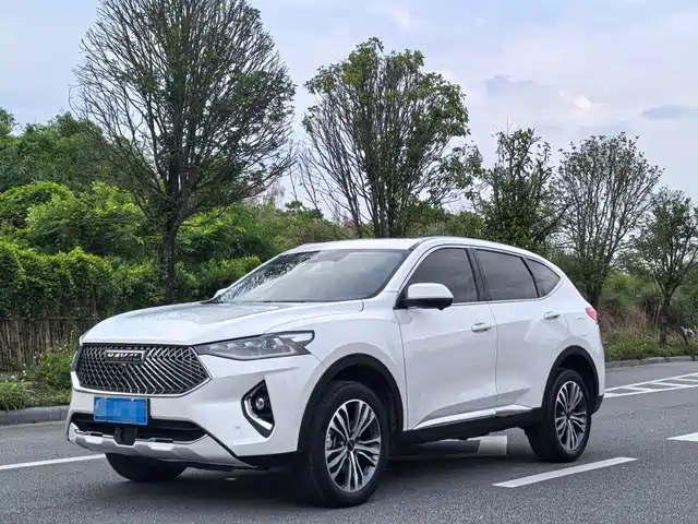 2021 Haval F7