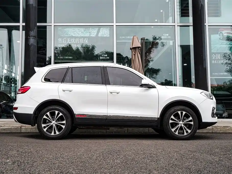 MUSTANG MOTORS MUSTANG T80