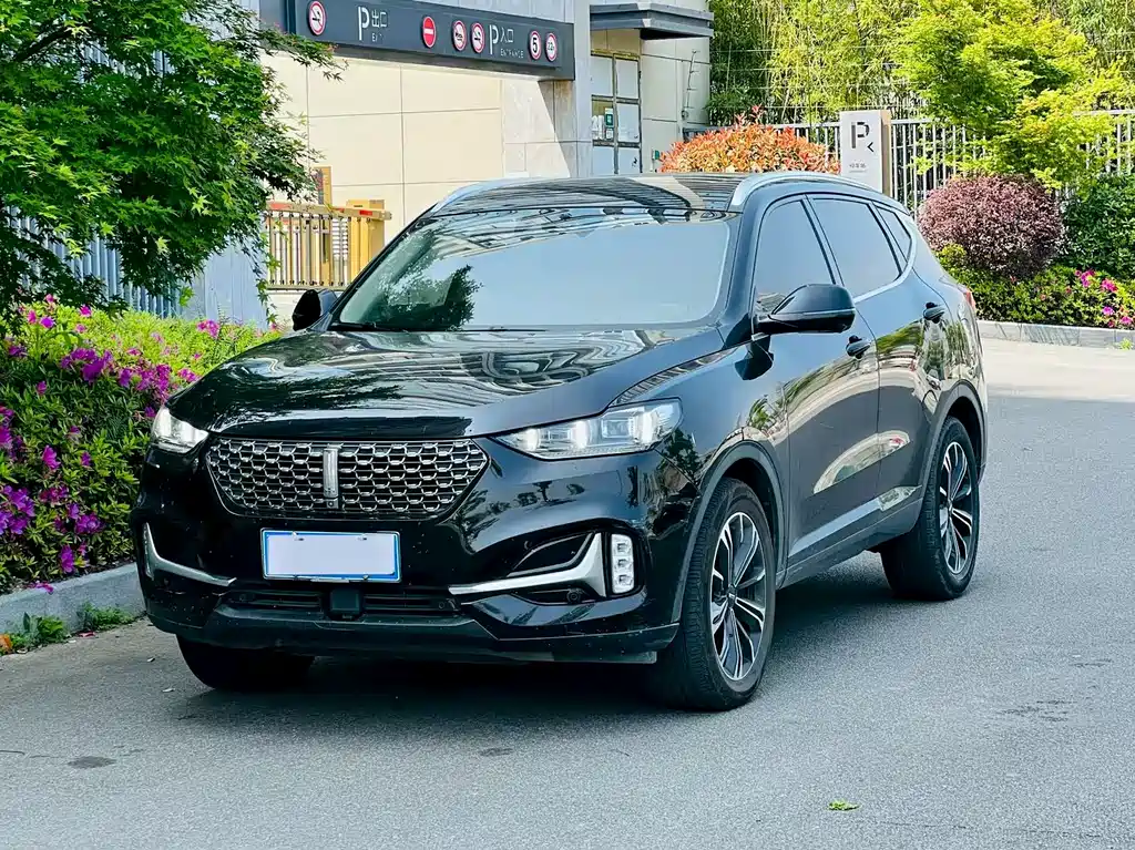 Wey Wey VV6 2020