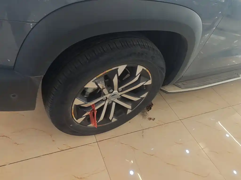Haval Big Dog — миниатюра 23