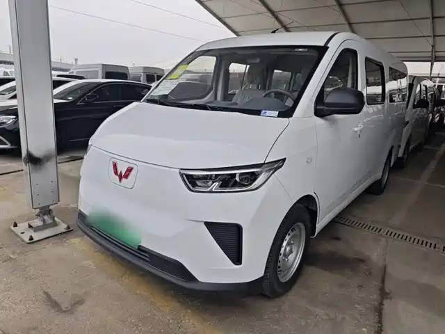 2026 Wuling Motors Yangguang