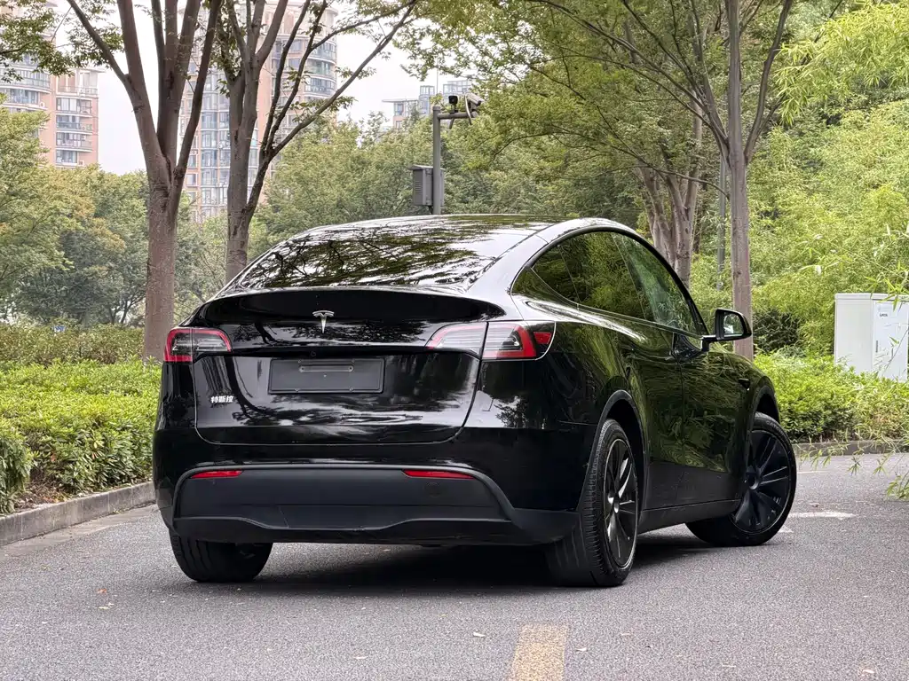 Tesla Model Y — миниатюра 6