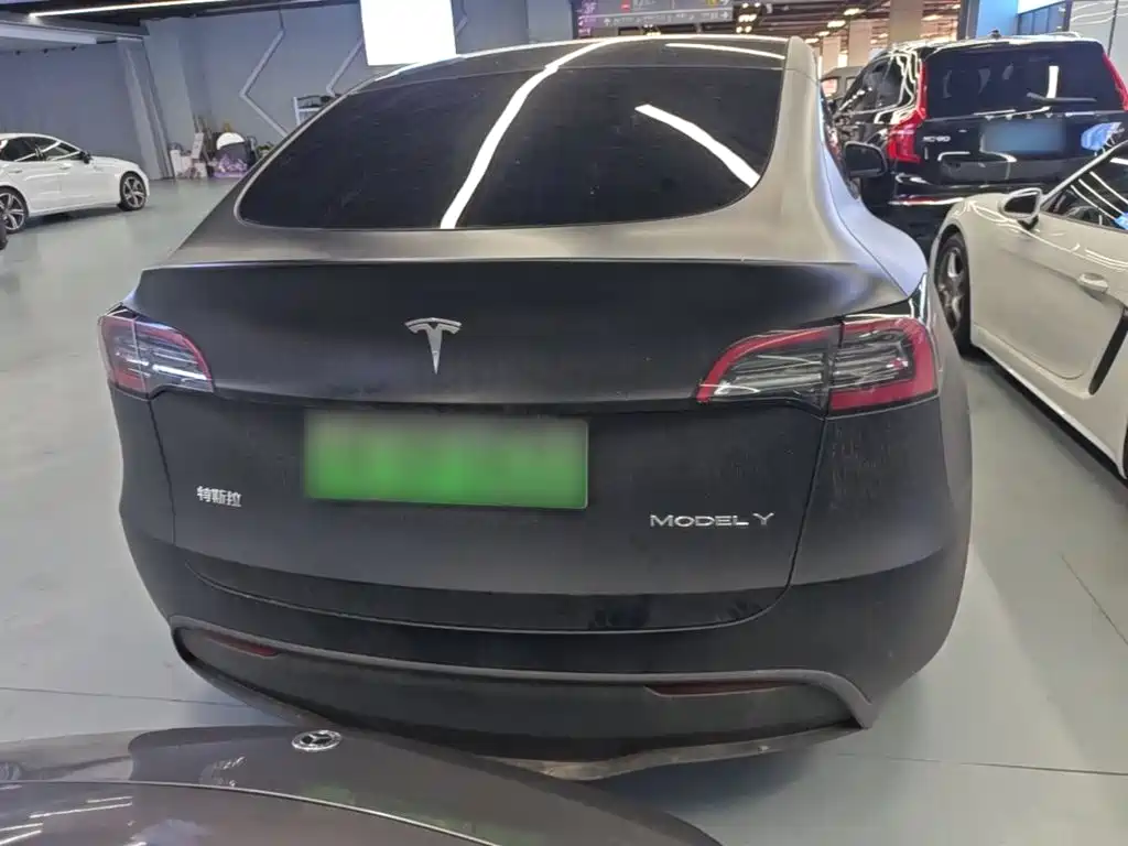 Tesla Model Y — миниатюра 6