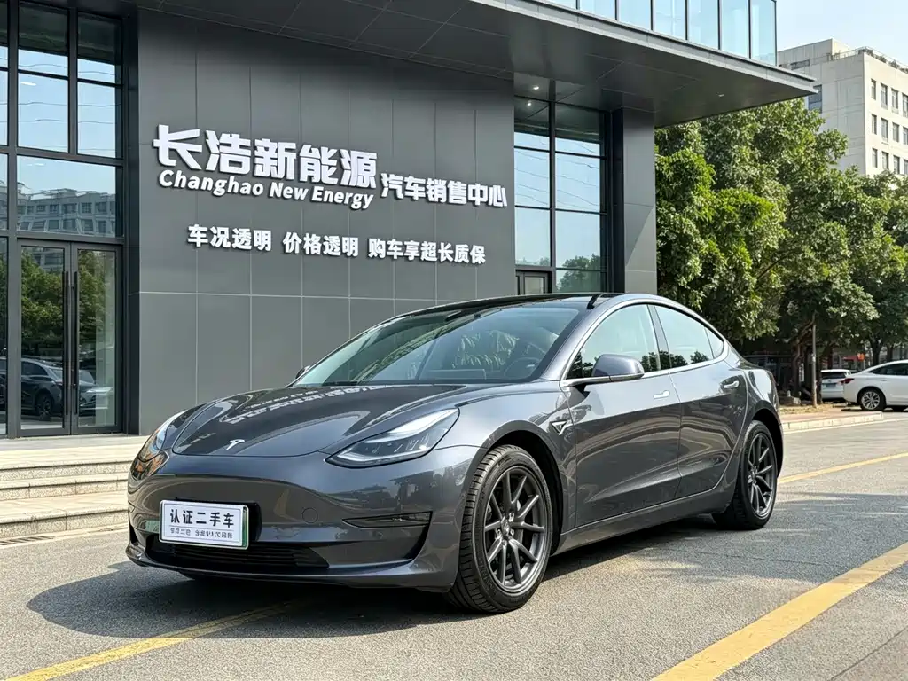 Tesla Model 3 2019