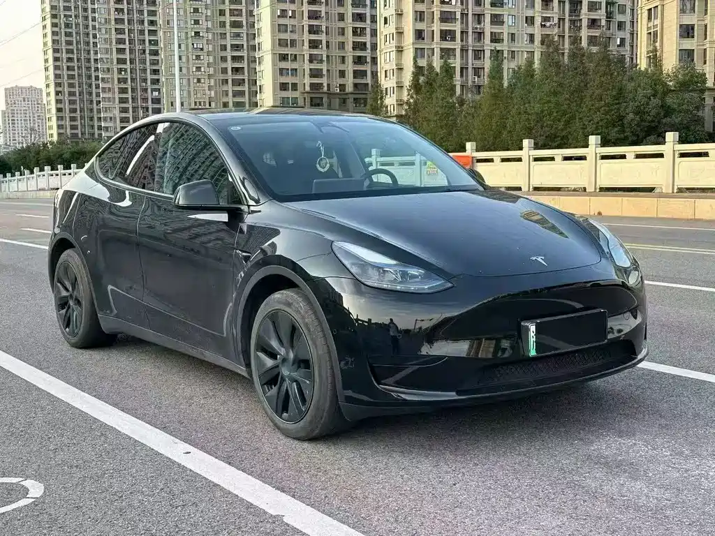 Tesla Model Y — миниатюра 3