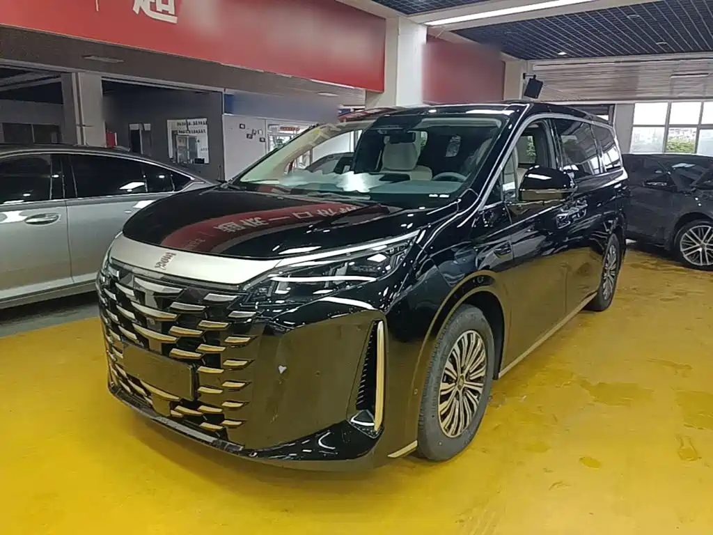 BYD Xia — миниатюра 2