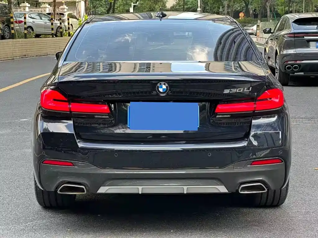 BMW 5 Series — миниатюра 4