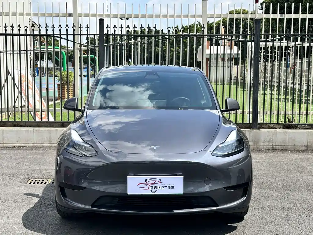 Tesla Model Y — миниатюра 3