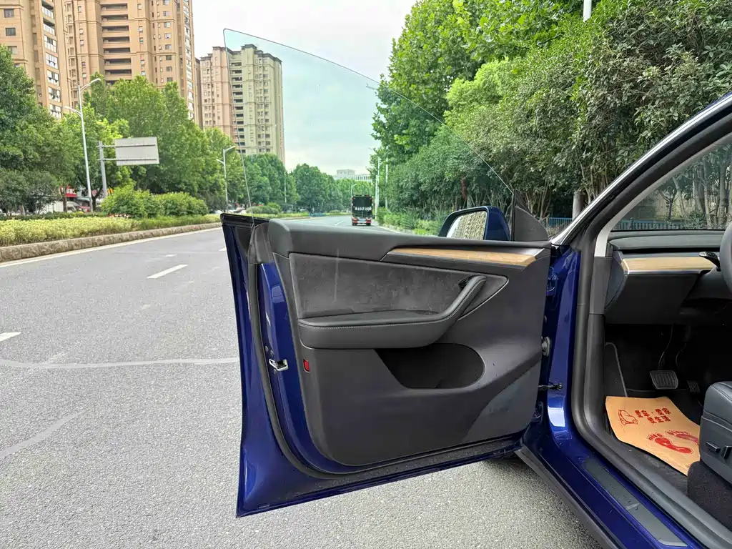 Tesla Model Y — миниатюра 6