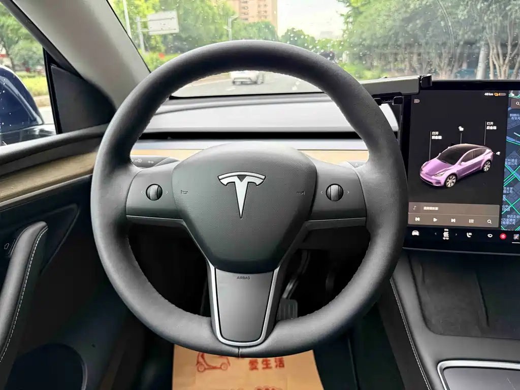 Tesla Model Y — миниатюра 14