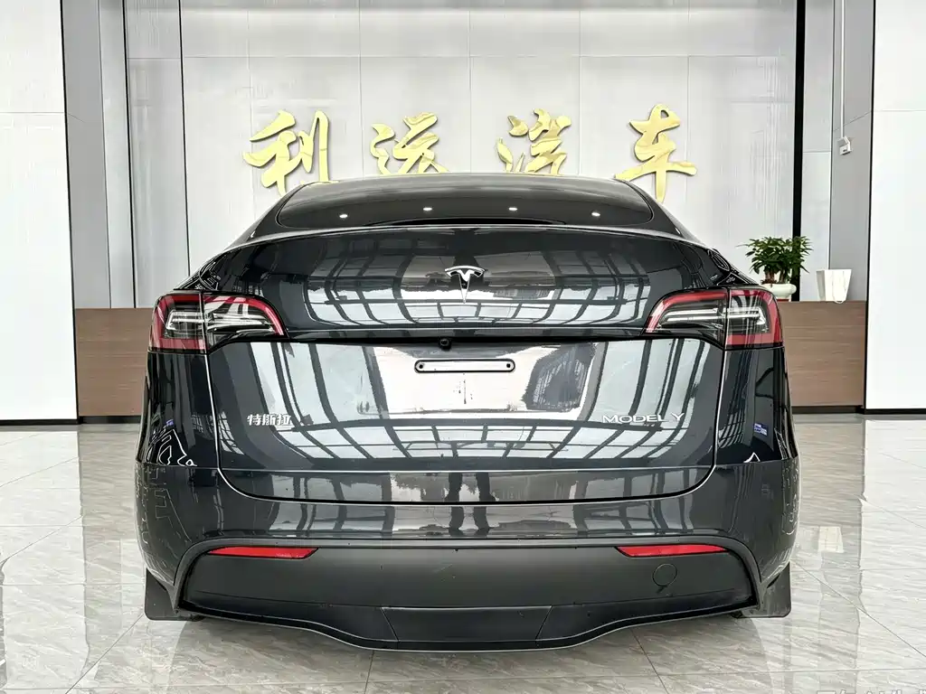 Tesla Model Y — миниатюра 14