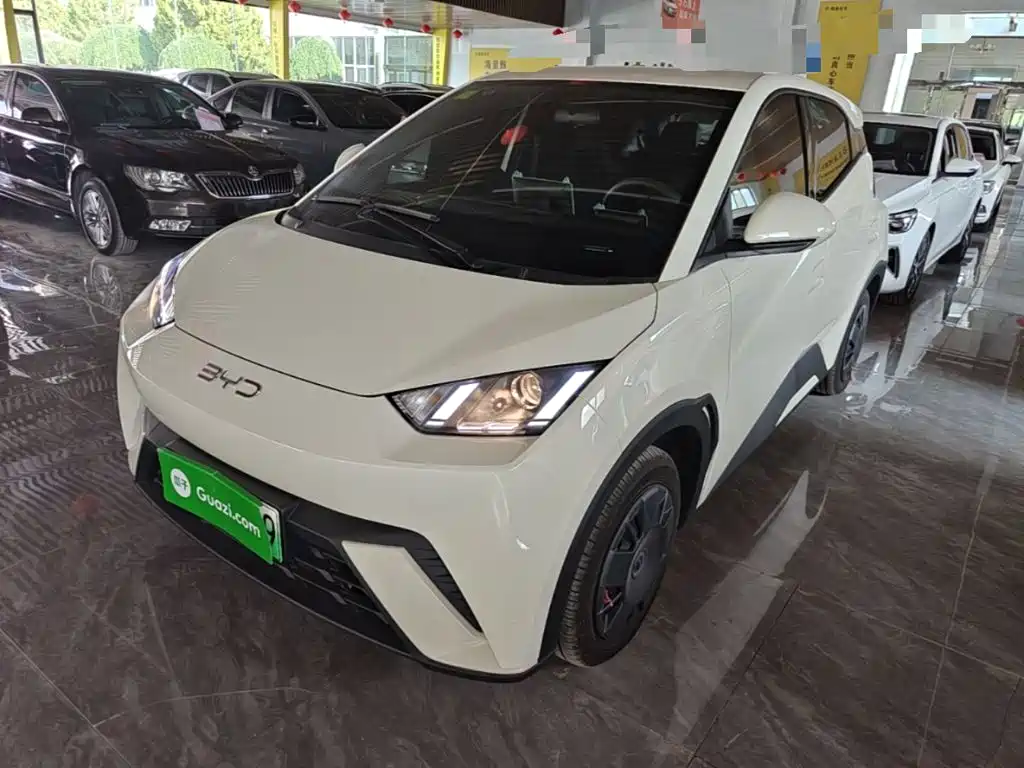 BYD Seagull