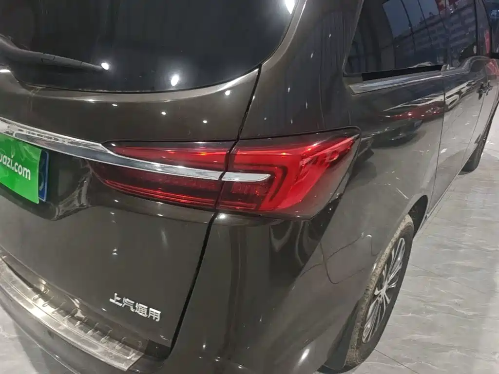 Buick GL8 — миниатюра 8