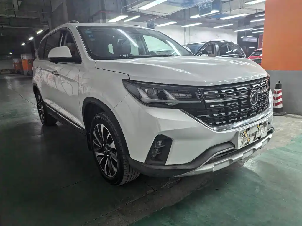 DONGFENG POPULAR T5
