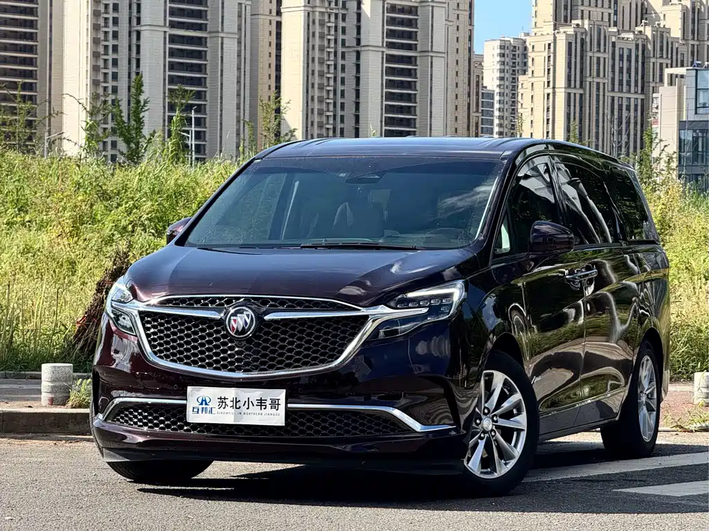 Buick GL8 — миниатюра 2