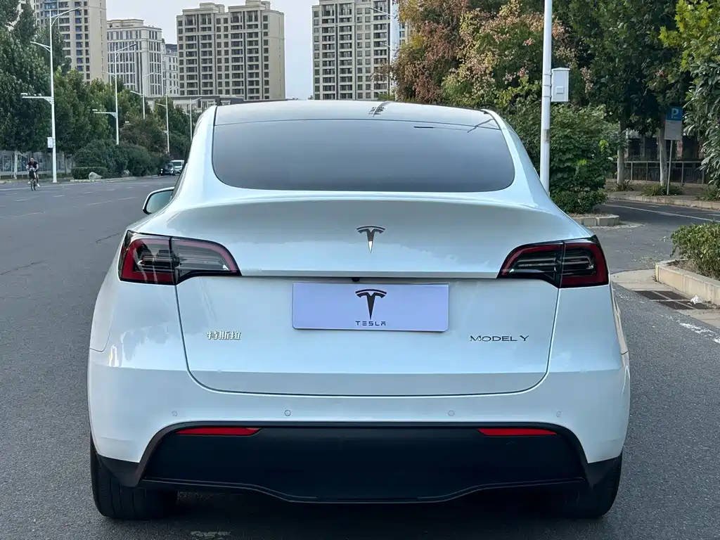 Tesla Model Y — миниатюра 14