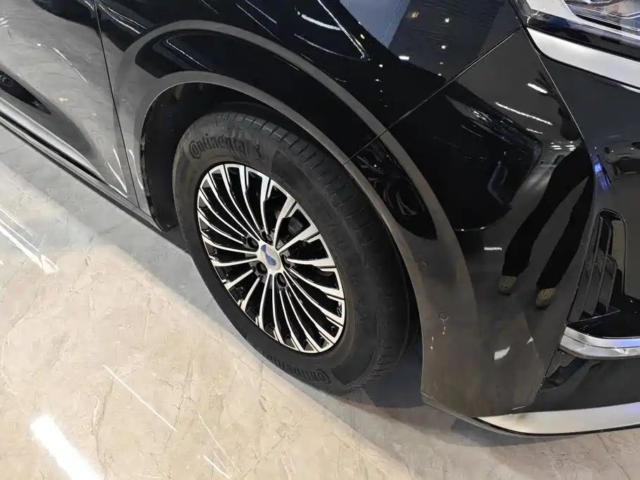 Denza Denza D9 — миниатюра 6