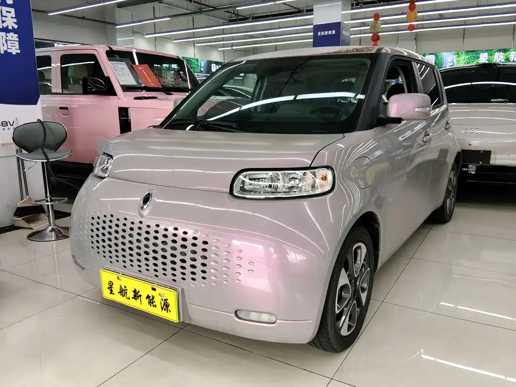 ORA White Cat 2020 305km Luxury Type