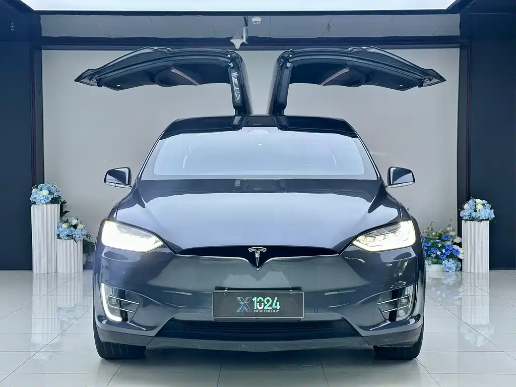 Tesla Model X — миниатюра 2
