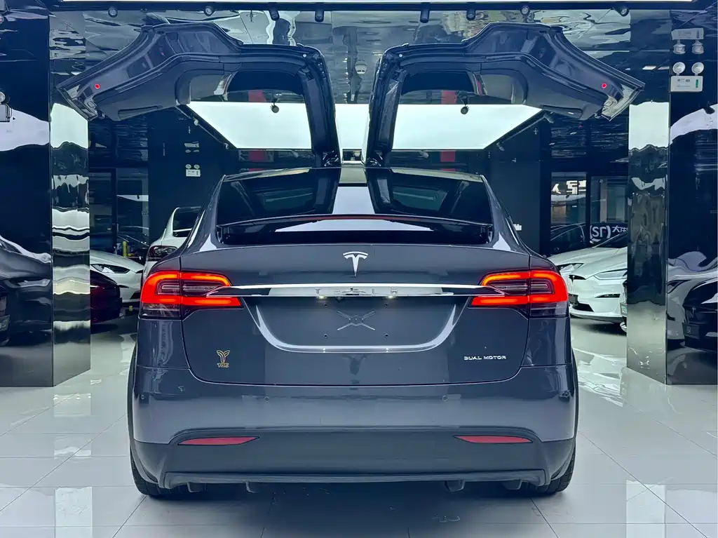 Tesla Model X — миниатюра 13