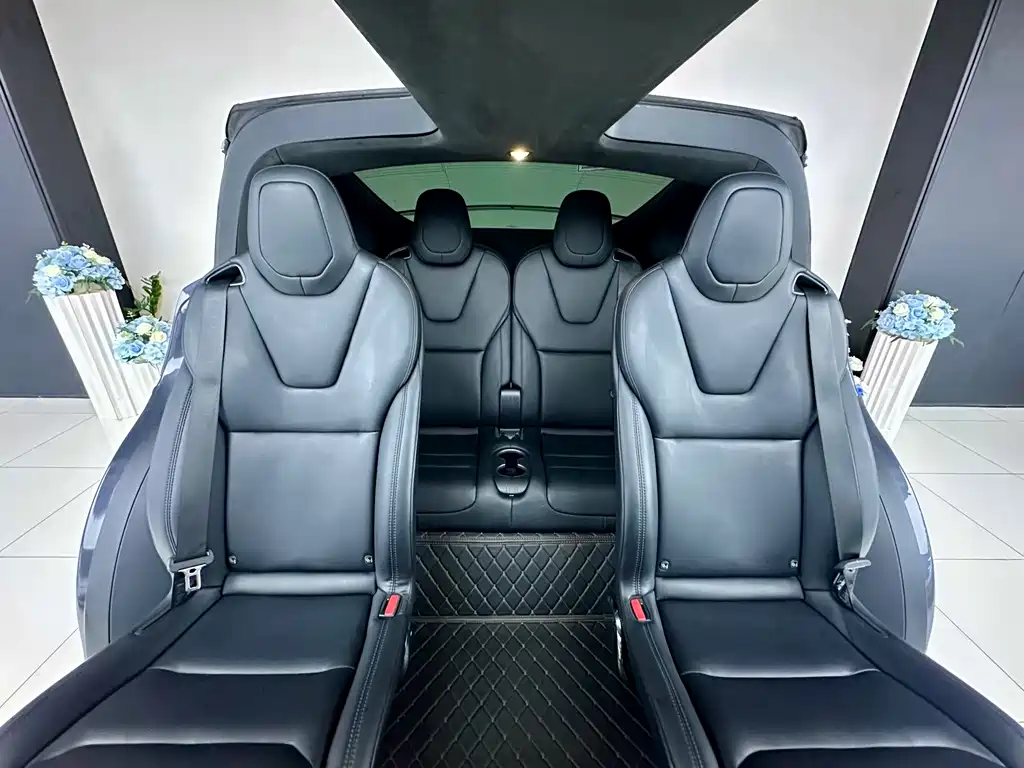 Tesla Model X — миниатюра 11