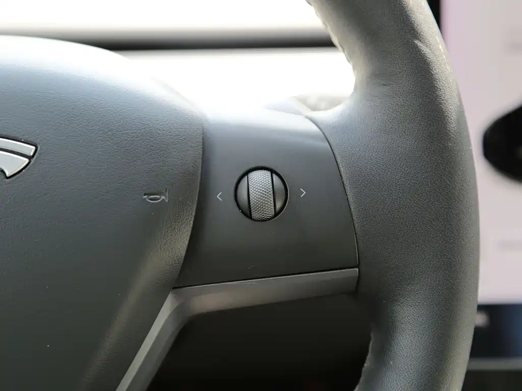 Tesla Model Y — миниатюра 11