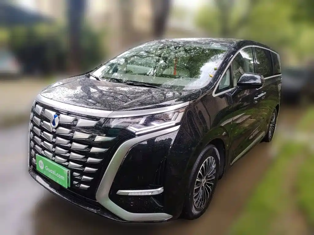Denza Denza D9 — миниатюра 2