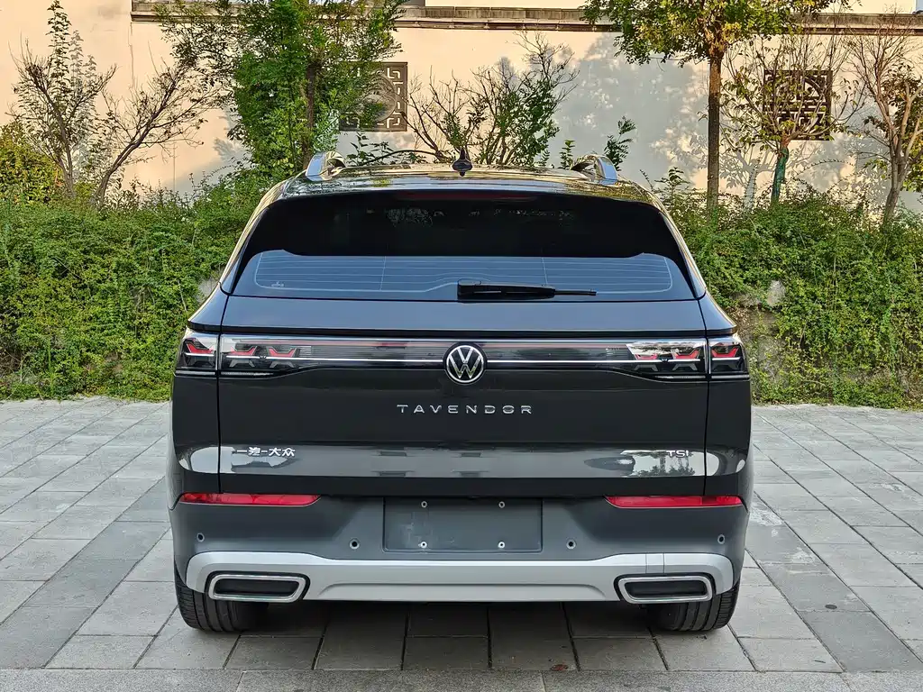 Volkswagen Tavendor — миниатюра 6