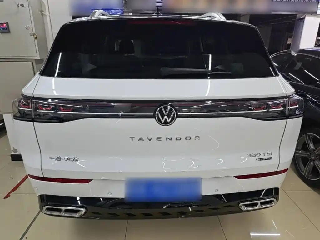Volkswagen Tavendor — миниатюра 6