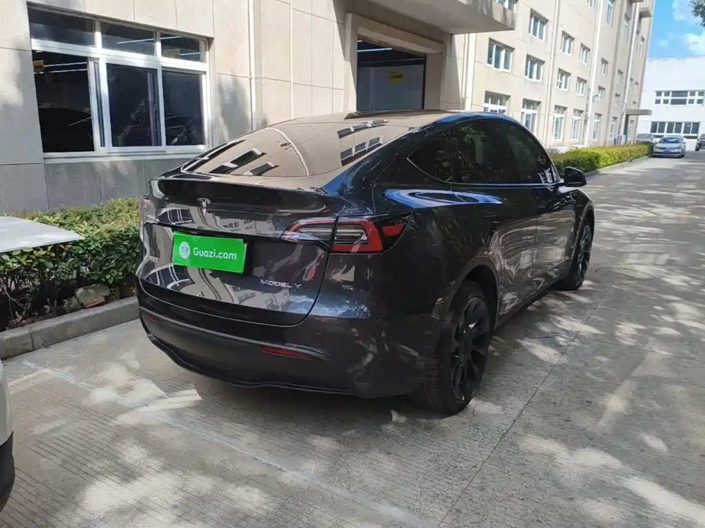 Tesla Model Y — миниатюра 7