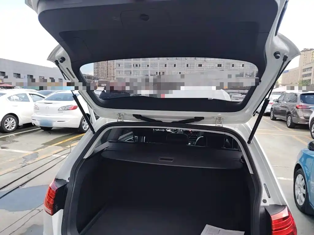 Volkswagen Golf (Import) — миниатюра 19