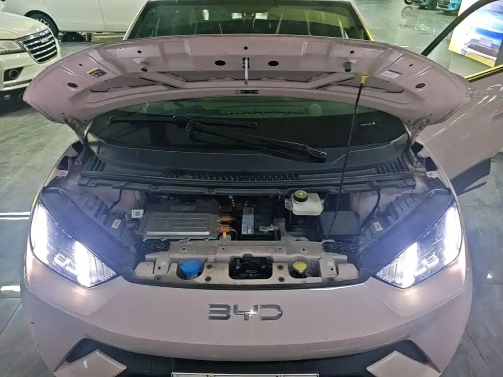 BYD Seagull — миниатюра 16