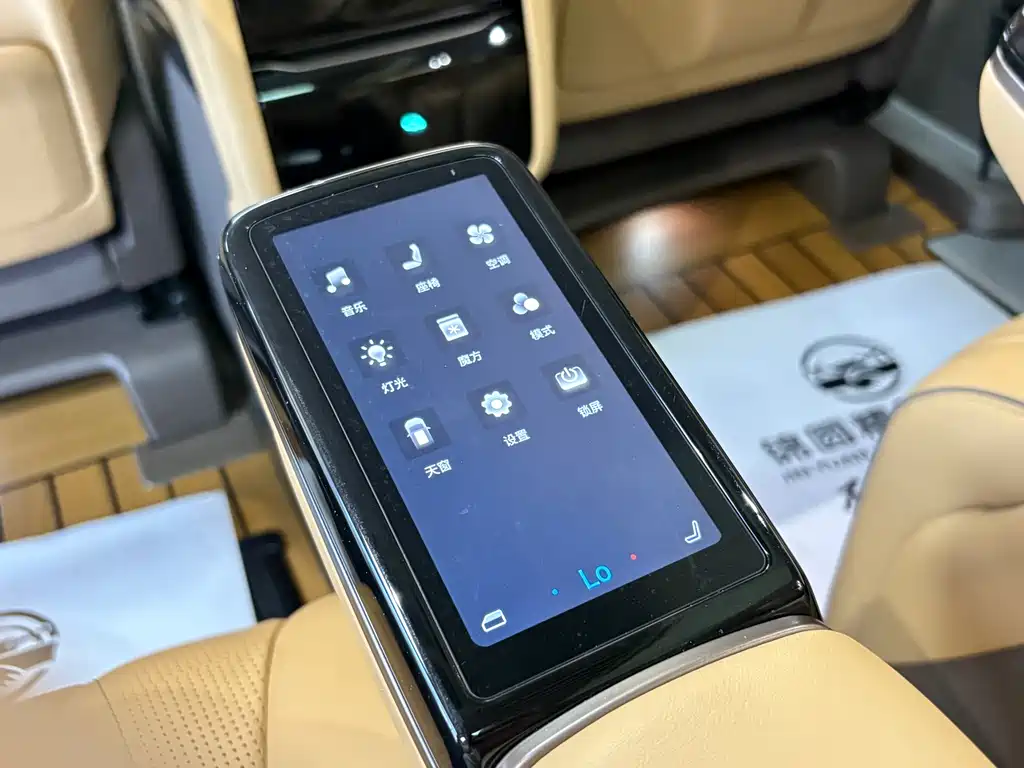 Denza Denza D9 — миниатюра 15