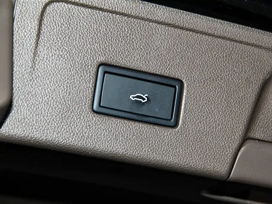 Volkswagen Viloran 380TSI Premium Edition, фото 35