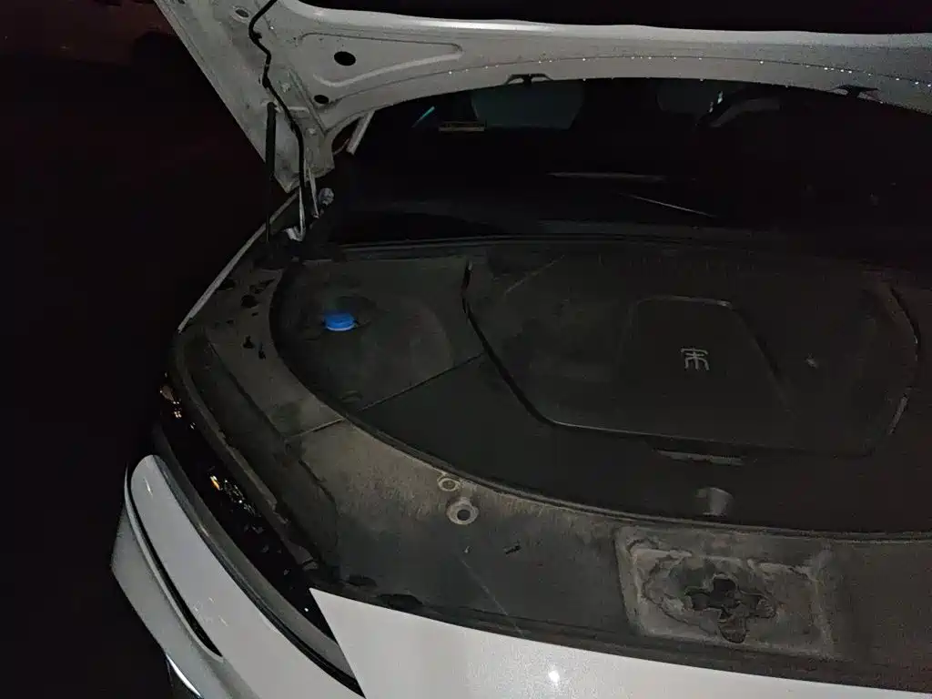 BYD PLUS New Energy — миниатюра 21