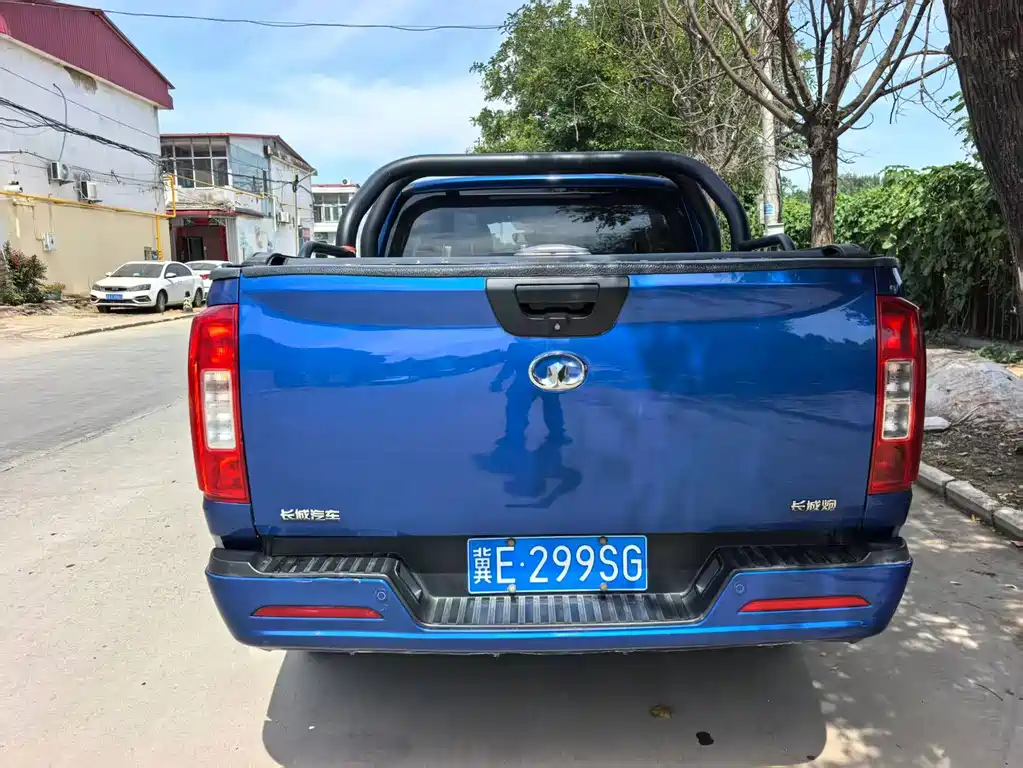 Great Wall Pao — миниатюра 6