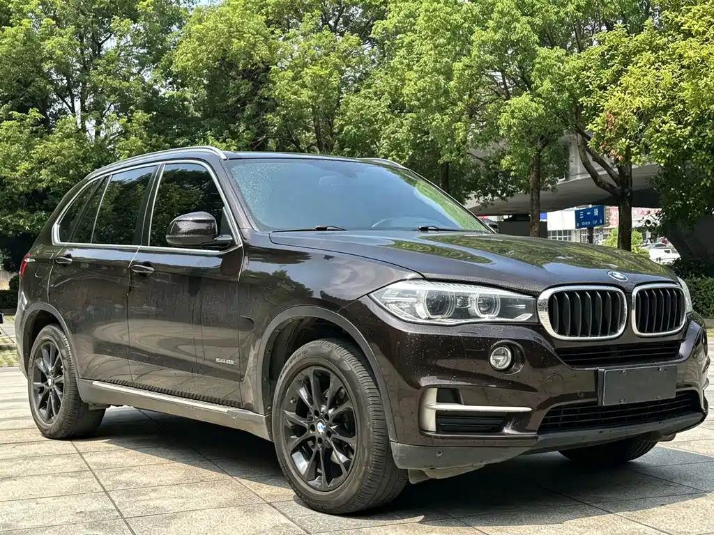 BMW X5 (Import) — миниатюра 6