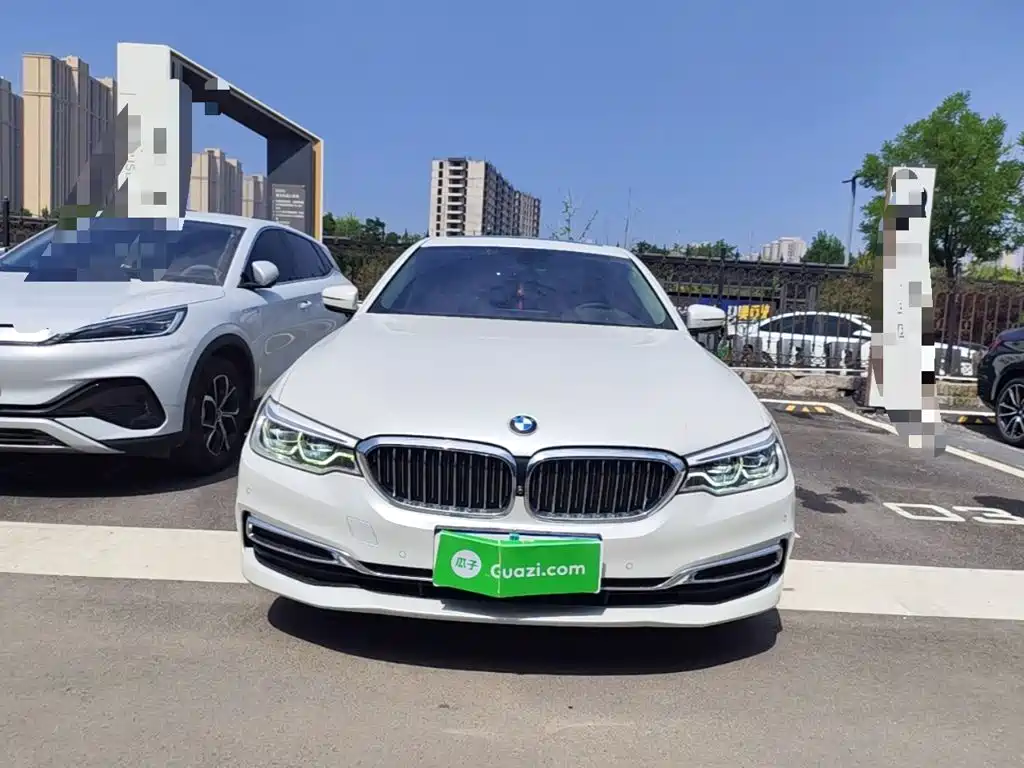 BMW 5 Series 5 2020 530Li xDrive Luxury