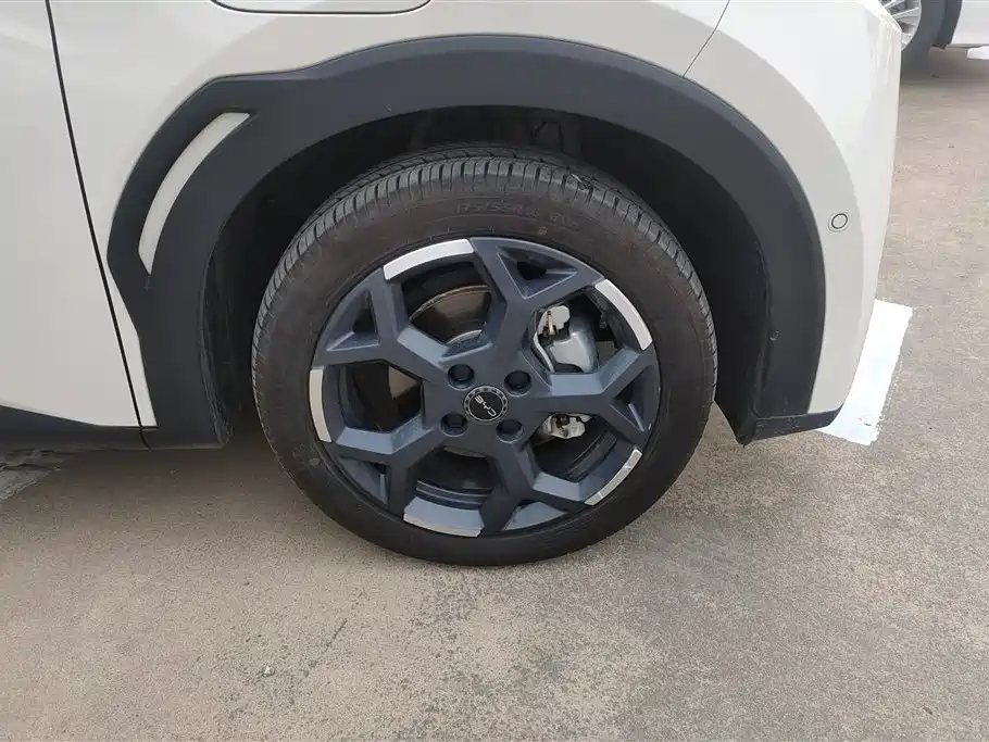 BYD Seagull 2025 Smart Drive 305km Freedom