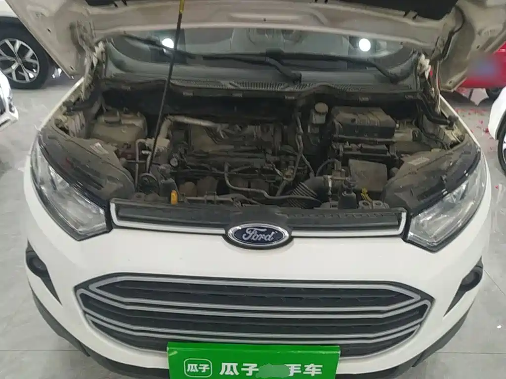 Ford Ecosport — миниатюра 20
