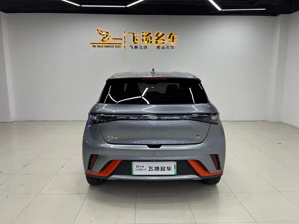 BYD Dolphin — миниатюра 15