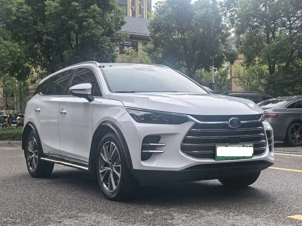 BYD Tang New Energy — миниатюра 2