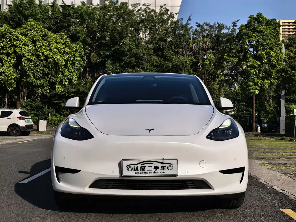 Tesla Model Y — миниатюра 2