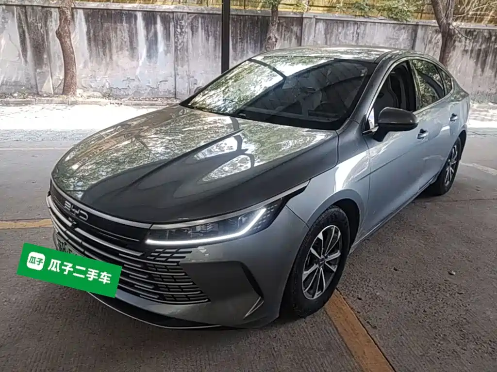 BYD Destroyer 05 — миниатюра 2