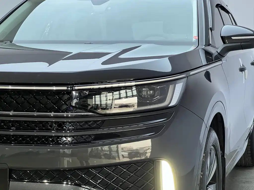 Volkswagen Tavendor — миниатюра 4