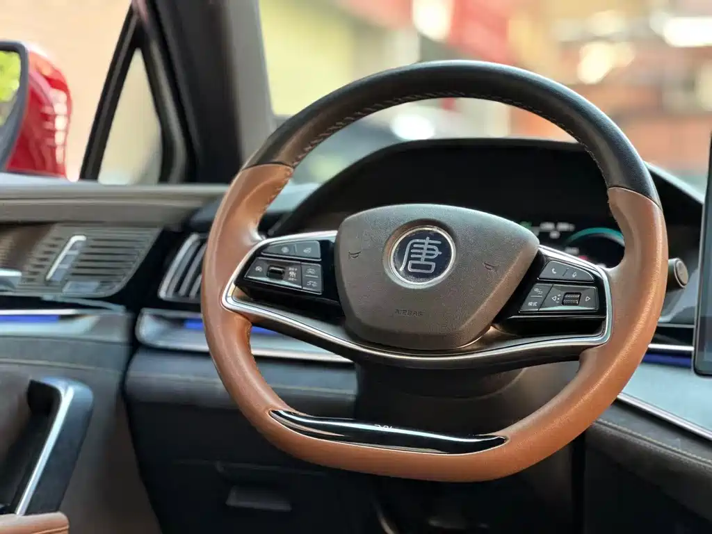 BYD Tang New Energy - фото 15